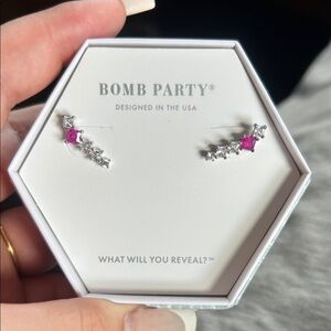 Silver and Pink Earrings